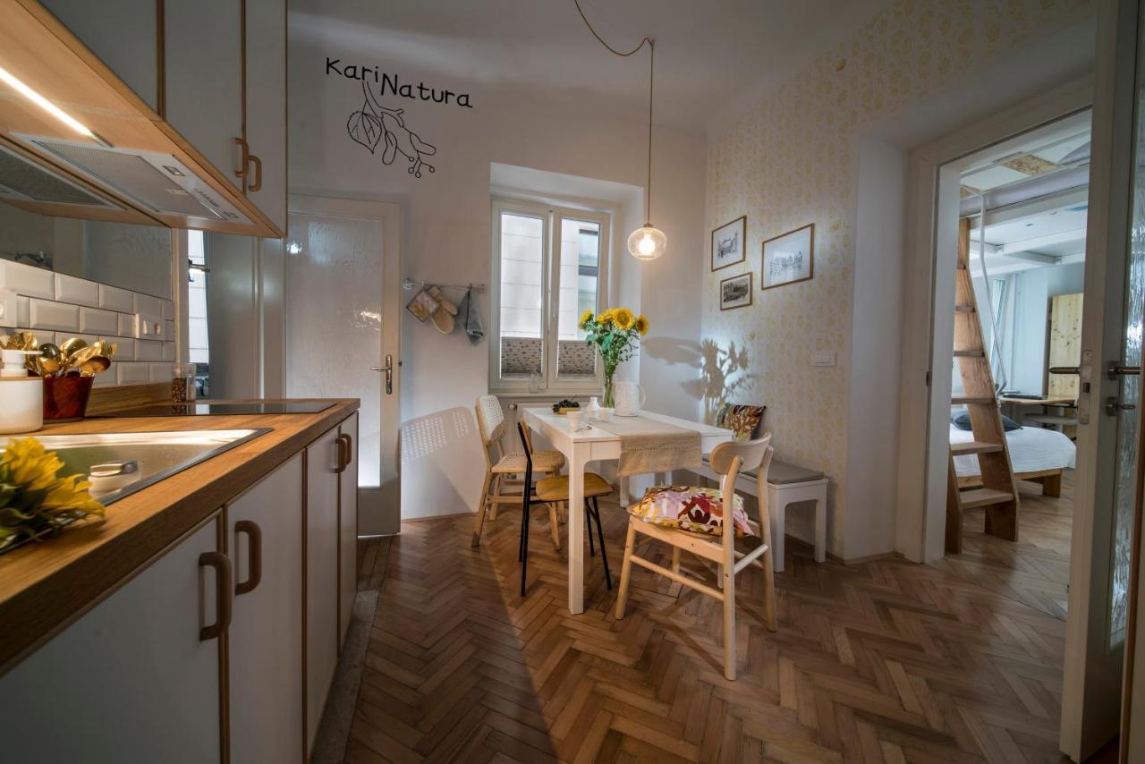 Karinatura Ljubljana Buitenkant foto